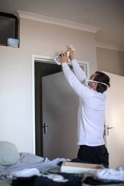 Reliable Blountsville, AL Mold Removal Solutions