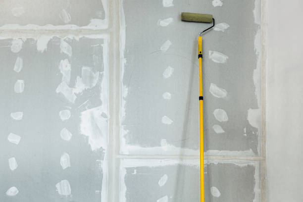 Best Forensic Mold Investigation  in Blountsville, AL