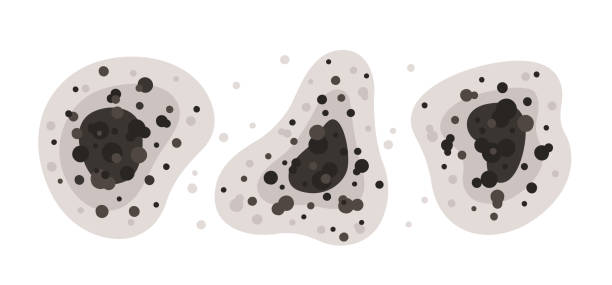 Best Air Quality Testing for Mold Spores  in Blountsville, AL