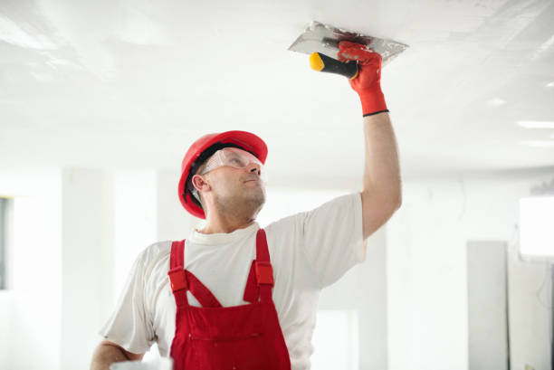 Best Mold Odor Removal Services  in Blountsville, AL
