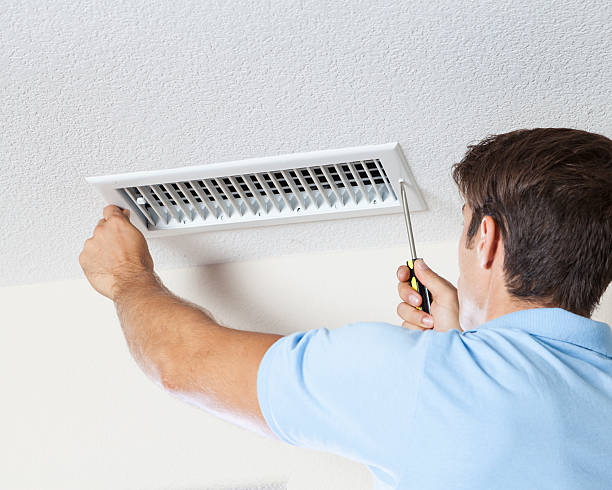 Best Mold Damage Restoration  in Blountsville, AL