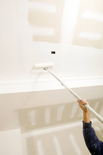 Best Basement Mold Removal  in Blountsville, AL