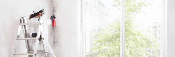 Best Air Quality Testing for Mold Spores  in Blountsville, AL