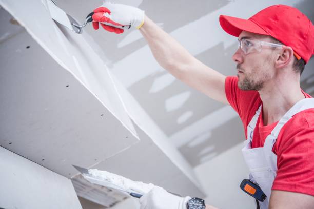 Environmental Consulting for Mold Prevention in Blountsville, AL